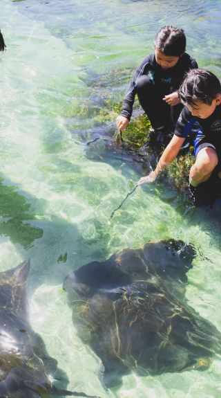 Family enjoying an animal feeding experience at Irukandji Shark and Ray Encounters, Anna Bay