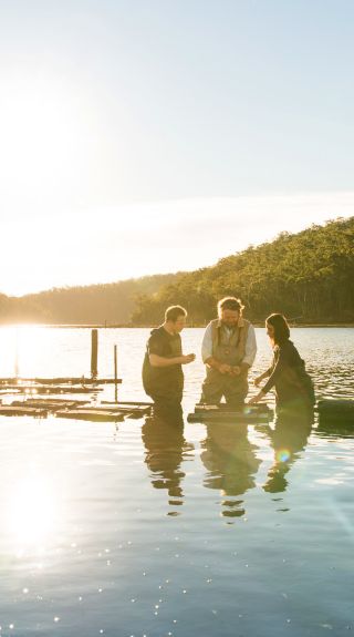 Captain Sponge's Magical Oyster Tour - Pambula River - Sapphire Coast