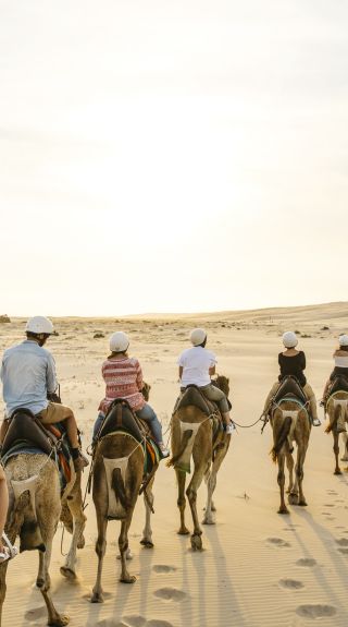 Sunset camel riding experience with in Anna Bay - Port Stephens