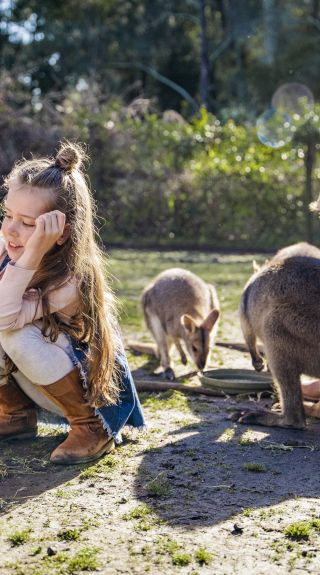 Billabong Zoo; Koala and Wildlife Park - Port Macquarie