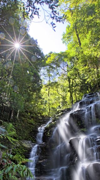 The picturesque Sylvia Falls in the Blue Mountains National Park, Wentworth Falls