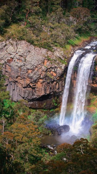 Ebor Falls, Armidale Area - Country NSW. Credit: Armidale Visitor Information Centre