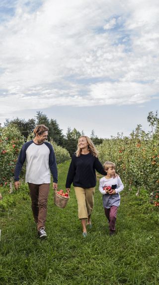 Family enjoying a day of apple picking at Shields Orchard, Bilpin