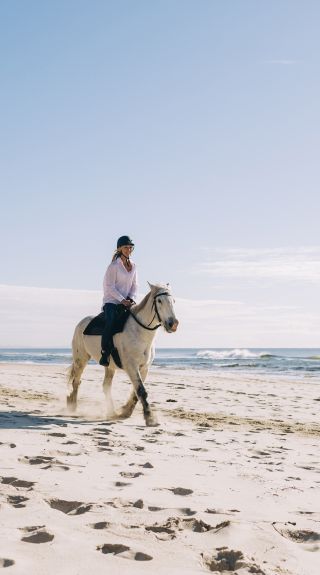 Zephyr Horses, Byron Bay