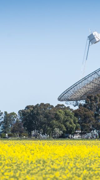 CSIRO Radio Telescope, Parkes - Credit: Parkes Shire Council