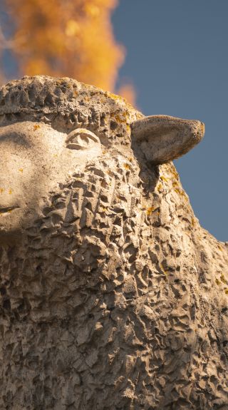 The Big Lamb monument, Guyra