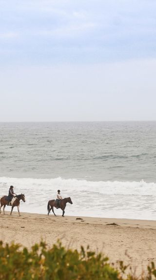 Seven Mile Beach, Shoalhaven Heads