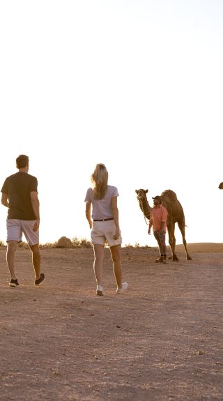 Silverton Camel Farm, Outback NSW