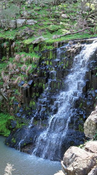 Bald Hills Creek Falls, Coolah Tops National Park - Credit: Nicola Brookhouse/DCCEEW