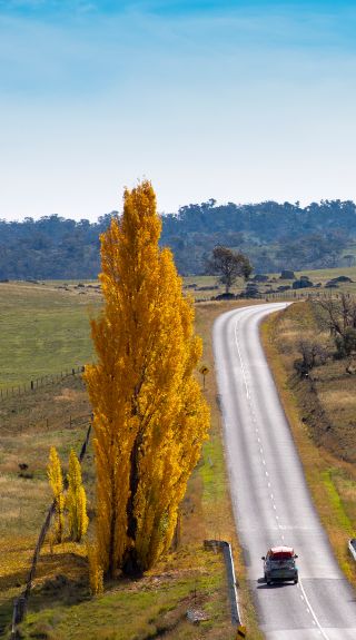 Country road between Berridale and Adaminaby, Snowy Mountains