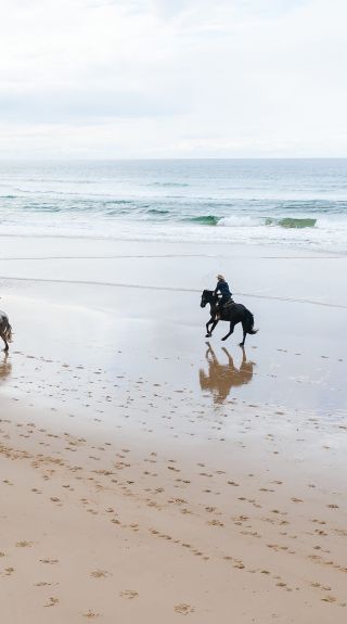 Zephyr Horses, Byron Bay