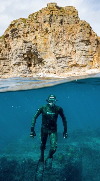 Man swimming with a seal during a snorkelling tour, Dive Jervis Bay