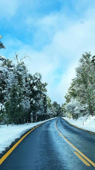 Our Snowy Tours, Tumbarumba - Credit: Our Snowy