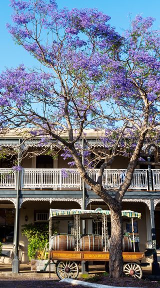 Roches Family Hotel, Grafton - Credit: My Clarence Valley