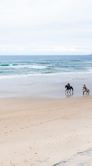 Aerial shot of horses running on beach with Cape Byron in background on a Zephyr Horses tour