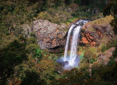 Ebor Falls - Armidale Area