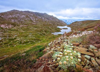 Main Range walking track in Kosciuszko National Park, Snowy Mountains