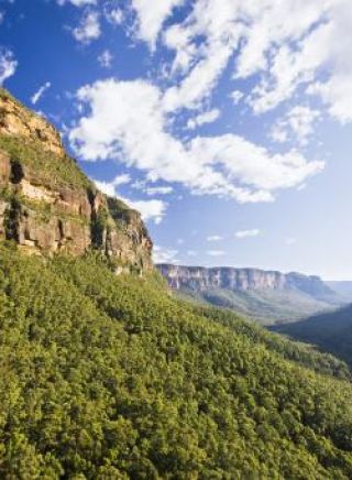 Blue Mountains