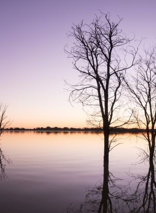 Yanga National Park - Outback NSW