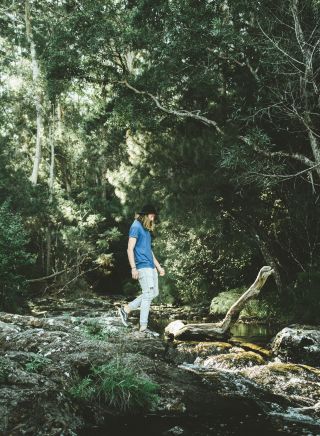 Man enjoying a walk along the Minyon Falls walking track in Nightcap National Park, Whian Whian