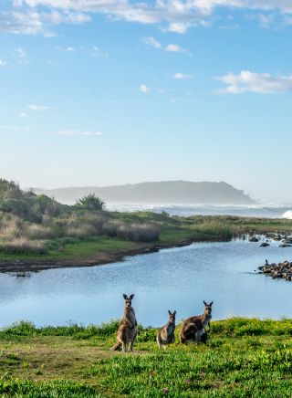 Beach scapes at Bundjalung National Park