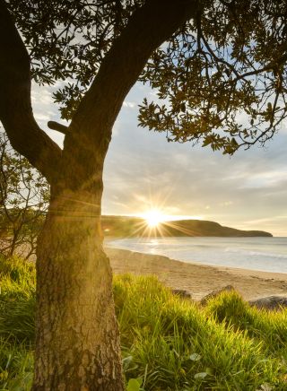 Sun rises over the horizon at Killcare Beach, Killcare in Central Coast