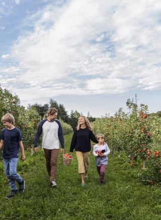 Family enjoying a day of apple picking at Shields Orchard, Bilpin