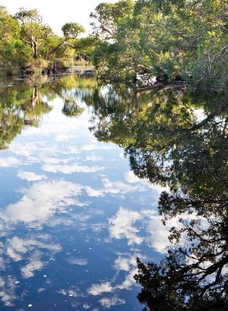 Jerusalem Creek, Bundjalung National Park