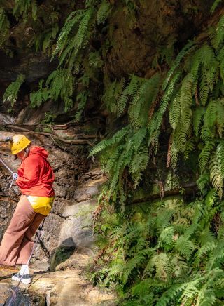 Woman abesiling - High and Wild Australian Adventures, Katoomba