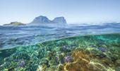 Snorkelling at Lord Howe Island