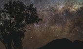 Starry night above a tree and mountain silhouette, Warrumbungles