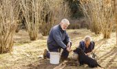 Owners Peter and Kate Marshall searching for truffles with their dog at Terra Preta Truffles, Braidwood