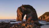 Horse Head Rock - Bermagui - South Coast