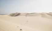 Stockton Sand Dunes - Port Stephens