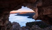 Morning fog over Blue Mountains National Park as seen from Lincoln's Rock in Wentworth Falls.