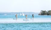 Friends enjoying a day of stand up paddleboarding on Lake Macquarie off Naru Beach