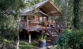 Luxury safari tent amongst the trees at Paperbark Camp in Jervis Bay