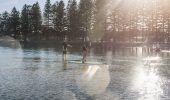 Stand Up Paddleboarding, Lake Illawarra