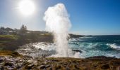 Water plume spouting from the Kiama Blowhole, Kiama 