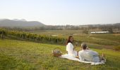 Couple enjoying a glass of wine at Audrey Wilkinson Wineries, Pokolbin