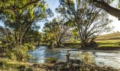 Tumut Fly Fishing - Kosciuszko National Park