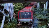 Family enjoying Diamond Tours, Scenic World, Katoomba