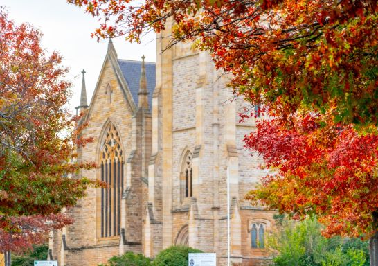 St Saviour's Cathedral Goulburn in Goulburn,Country NSW