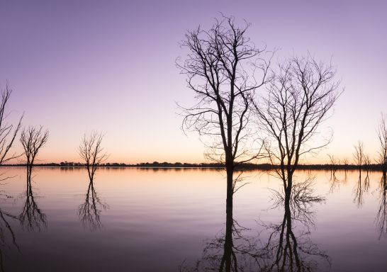 Yanga National Park - Outback NSW