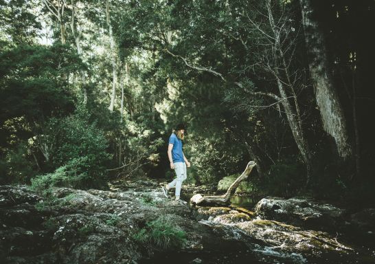 Top Hikes & Walks NSW | Official NSW Tourism Website