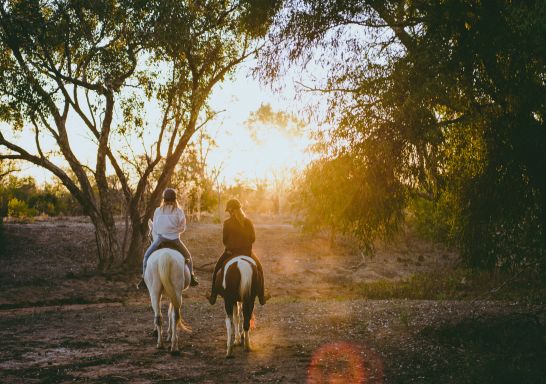 Grays Holler Horse Riding in Lightning Ridge - Outback NSW