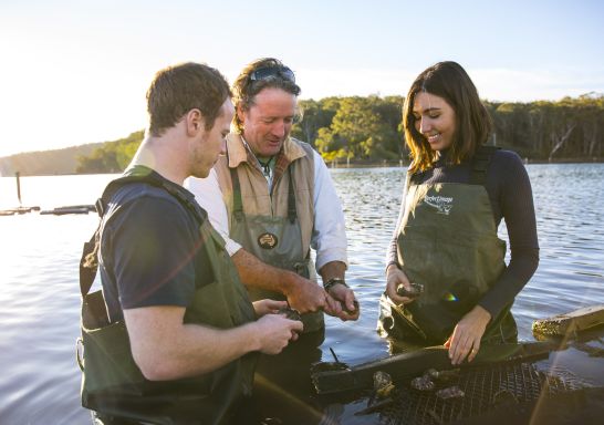 Couple enjoying a tour with Captain Sponge's Magical Oyster Tours on Pambula River, Pambula.