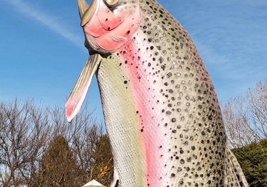 View of the Big Trout 2024, Adaminaby